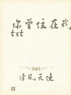 你曾住在我心上txt
