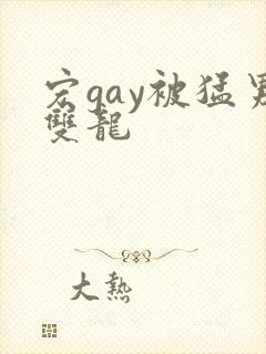 宏gay被猛男双龙