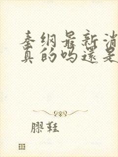 秦纲最新消息是真的吗还是假的