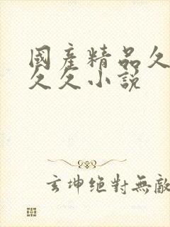 国产精品久久久久久小说