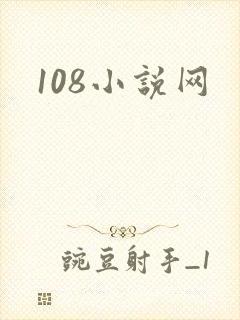 108小说网