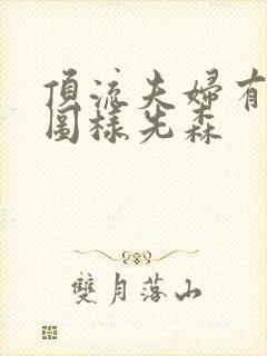 顶流夫妇有点甜图样先森