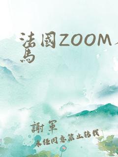 法国ZOOM人马