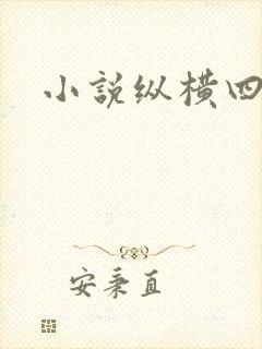 小说纵横四海