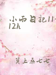 小雨日记11-12h