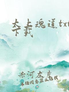 太上魂道txt下载