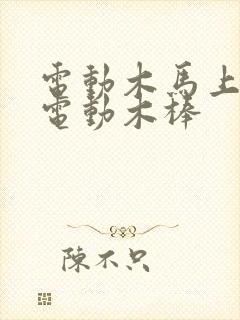 电动木马上两个电动木棒