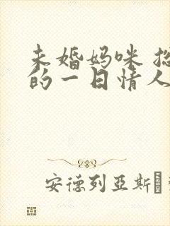 未婚妈咪 总裁的一日情人