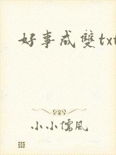 好事成双txt