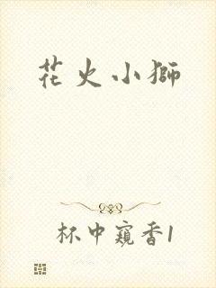 花火小狮