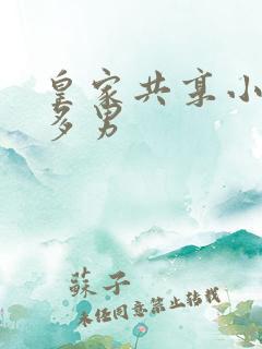 皇家共享小公主多男