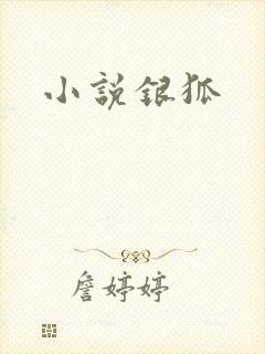 小说银狐