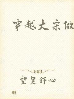 穿越大宋做诸葛