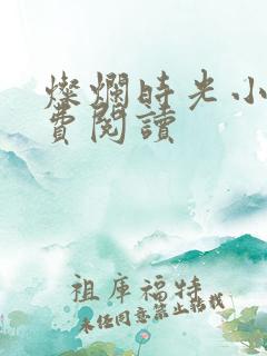 灿烂时光小说免费阅读