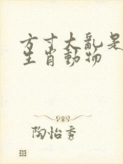 方寸大乱是什么生肖动物