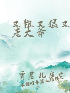 又粗又猛又大爽老大爷