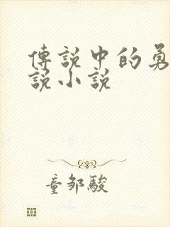 传说中的勇者传说小说