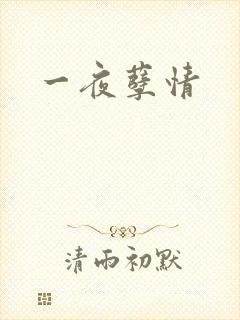 一夜孽情