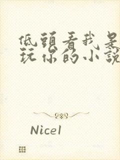 低头看我是怎么玩你的小说