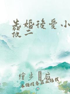 先婚后爱小说梦筱二