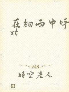 在细雨中呼喊txt