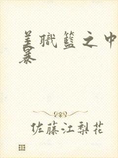 美职篮之中国风暴