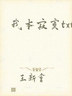 我本寂寞txt