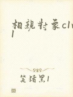 相亲对象c1v1