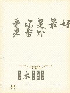 爱你是最好的时光番外