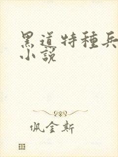 黑道特种兵有声小说