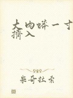 大肉蟒一寸一寸挤入