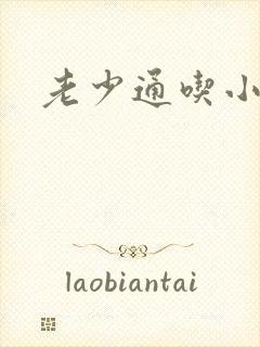 老少通吃小说