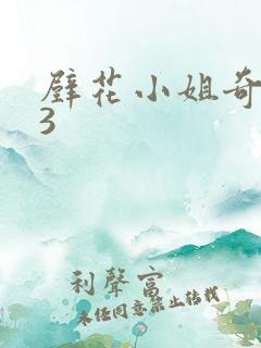 壁花小姐奇遇记3