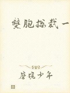 双胞总裁一个妻