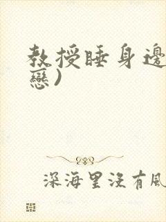 教授睡身边(婚恋)