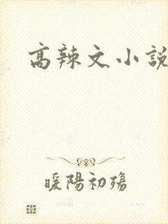 高辣文小说