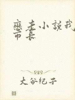 恋老小说我和老市长