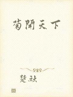 菊开天下