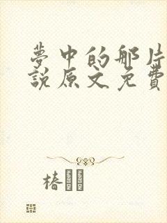 梦中的那片海小说原文免费阅读