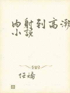 内射到高潮的H小说