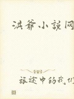 洪爷小说网
