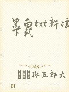 黑白txt新浪下载