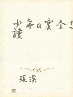 少年a宾全集阅读