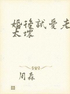 婚后试爱老公别太坏