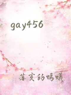 gay456