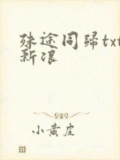 殊途同归txt新浪