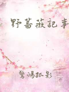 野蔷薇记事薄