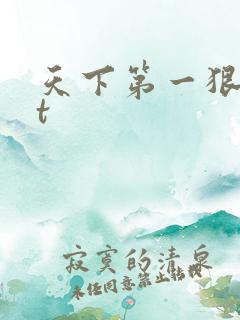 天下第一狠txt