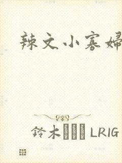 辣文小寡妇