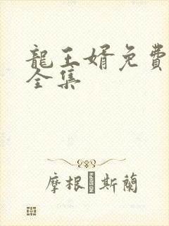 龙王婿免费完结全集